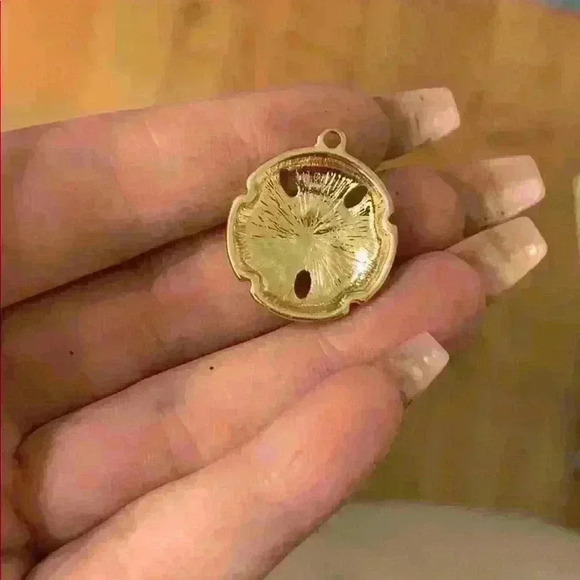 NWOT Shell Necklace 2 Pendants - Picture 3 of 4